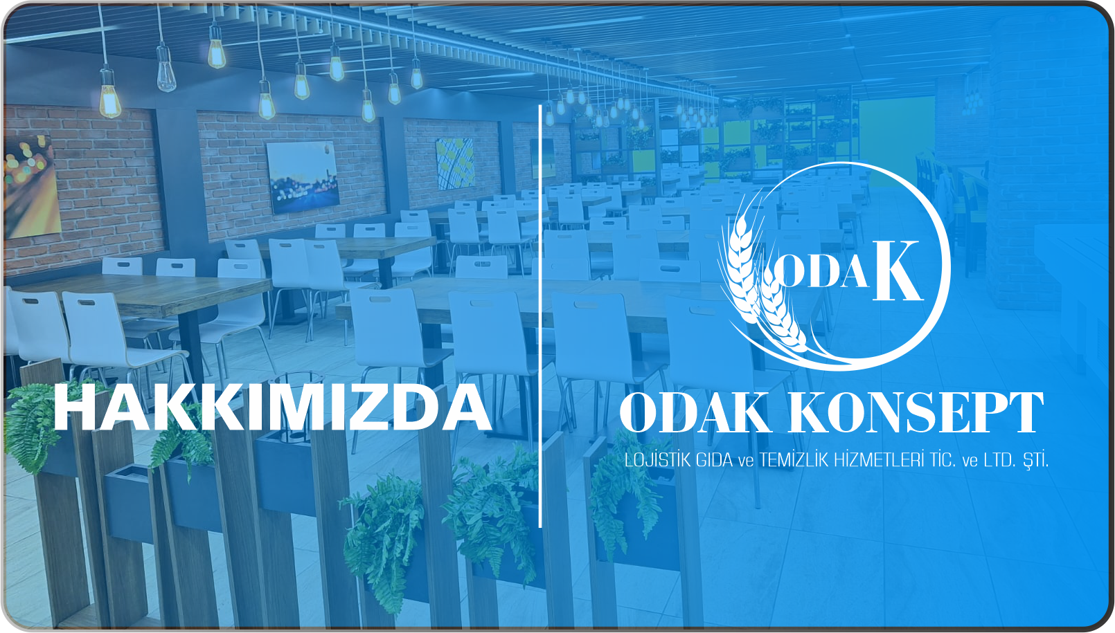 Odak Konsept Temizlik - Hakkımızda
