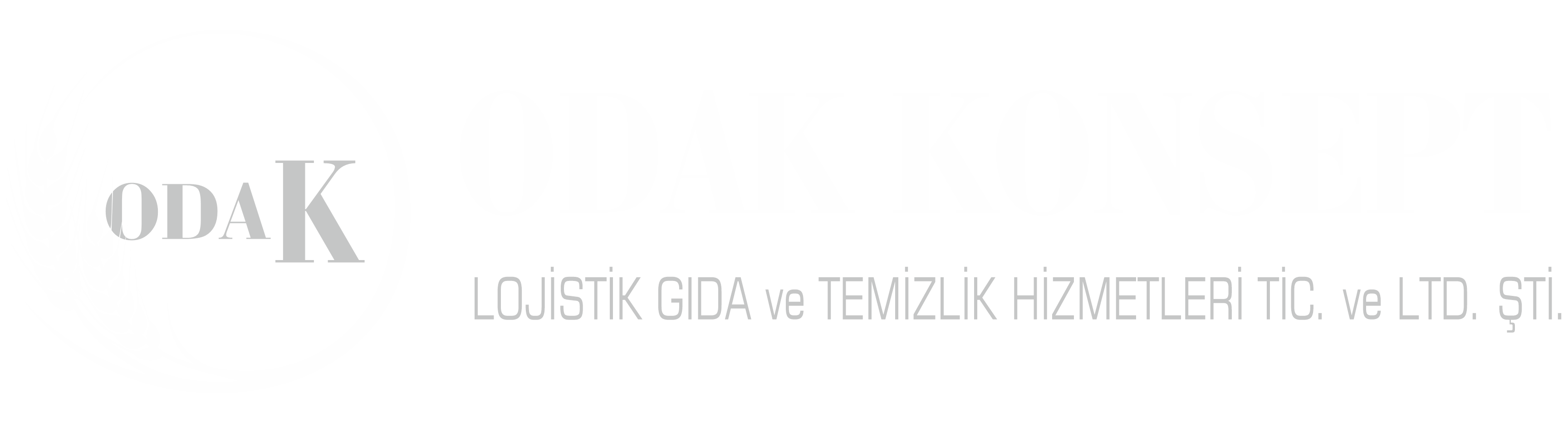 temizlik şirketi